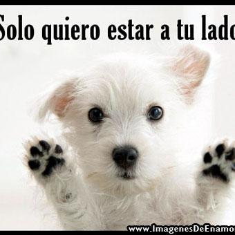 Profile Picture of Helio Gonzalez (@heliogonzalez01) on Twitter