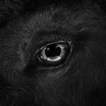 Profile Picture of Alex Harbich (@alexharbich) on Instagram