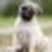 Profile Picture of Adriana Nadeau (@anadeau29) on Pinterest