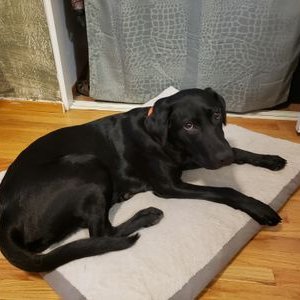 Michael Tooker - Twitter Profile Picture of Michael Tooker (@mikenroxyt) on Twitter