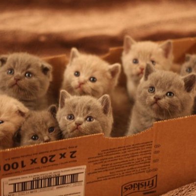 Profile Picture of David Nemec (@dirtyjohny151) on Twitter