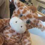 Profile Picture of Gerald Pickles Giraffe (@geraldpickles) on Instagram