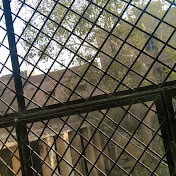 Profile Picture of Maimoona Khan (@maimoonakhan5493) on Youtube