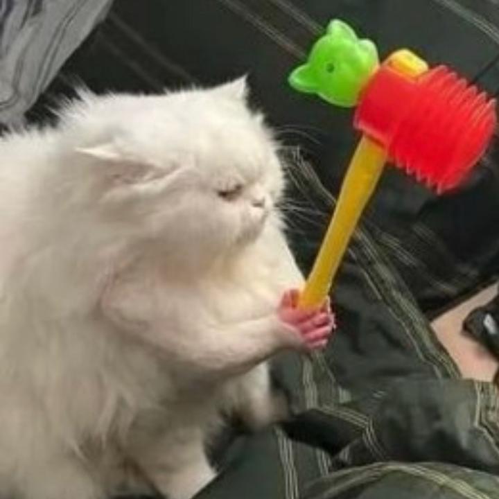 Profile Picture of sillybilly (@tay.mccann) on Tiktok