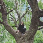 Profile Picture of Kim Starnino (@artbykimstarnino) on Instagram