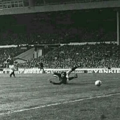 Profile Picture of Stuart Haines (@StuartHaines) on Twitter