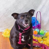 Profile Picture of Bart Kennedy (@bart-kennedy-1) on Quora