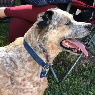 Profile Picture of Charles Irish (@CharlesIrish4) on Twitter