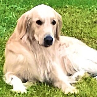 Profile Picture of Pamela Mathis (@PamelaMathis1) on Twitter