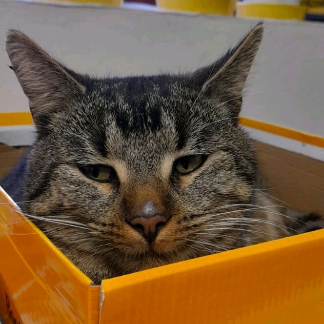 Profile Picture of John Swoboda140 (@@johnswoboda) on Tiktok