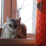 Profile Picture of Moorer (@moorernevinsp) on Instagram