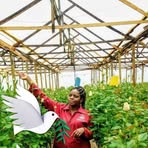 Profile Picture of Linet Branda (@Linet-Branda) on Facebook