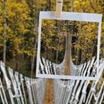 Profile Picture of Twyla Meyers Halayka (@halaykatwyla) on Instagram