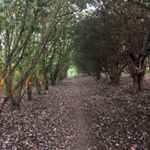 Profile Picture of Lisa Allenby (@allenby_lisa) on Instagram