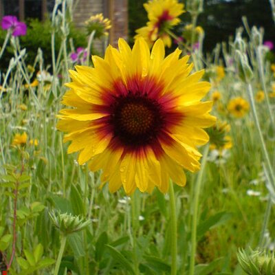 Profile Picture of Nancy James (@njames777) on Twitter