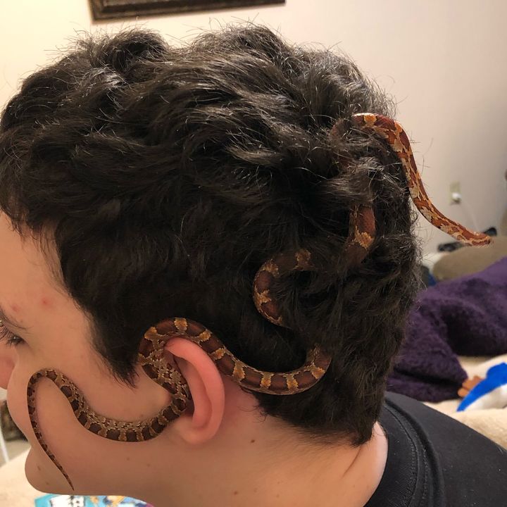 Profile Picture of andrewdadair713 (@andrewlikesreptiles) on Tiktok