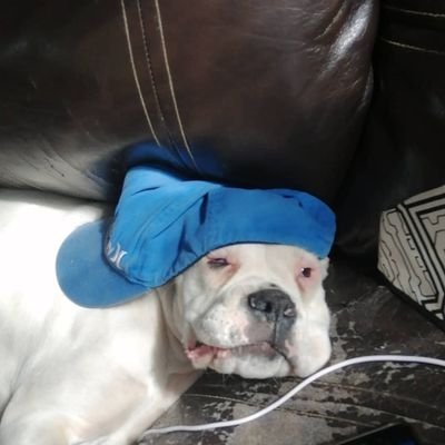 Profile Picture of Bob Lamm Pardave (@BobPardave) on Twitter