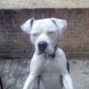 Profile Picture of Julie Latham (@418463483) on Myspace