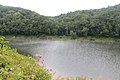 Profile Picture of Tionesta Township, Forest County, Pennsylvaniaon Wikipedia