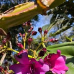 Profile Picture of Cecilia Fabian (@cecilia.fabian.491255) on Facebook