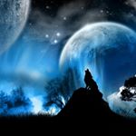 Profile Picture of alyssa carrier-ferland (@alyssa_carrierferland) on Instagram