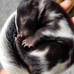 Profile Picture of David Carpenter (@davidcarpenter2001) on Instagram