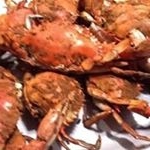 Profile Picture of Jean Rittenhouse (@jeanrittenhouse) on Instagram