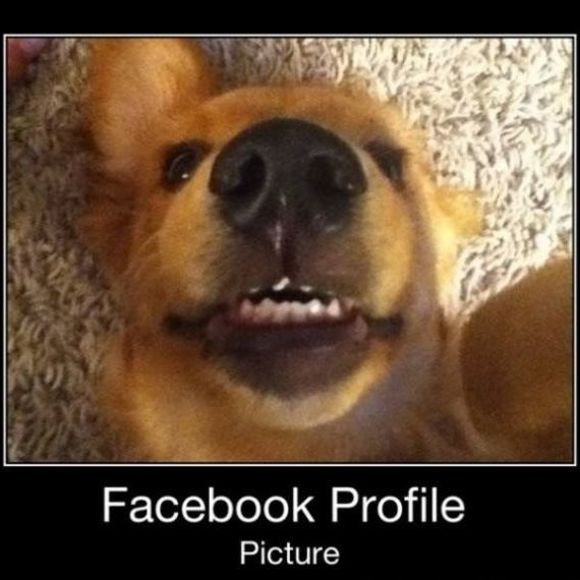 Profile Picture of Kevin Silcox (@kevin1478) on Poshmark