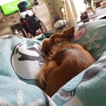 Profile Picture of Anthony Pfeffer (@anthony.pfeffer.56) on Instagram