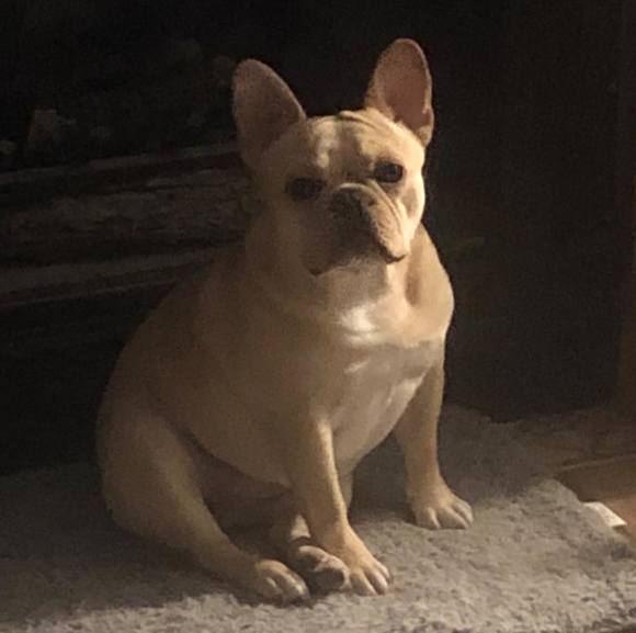 Profile Picture of Orpha Bortzer (@orphabortzer) on Poshmark