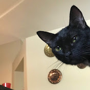 Profile Picture of Shelby Alvarez (@shelbyalvarez3796) on Youtube