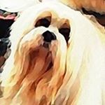 Profile Picture of Catherine O'Dell Fields (@catherineodellfields) on Instagram