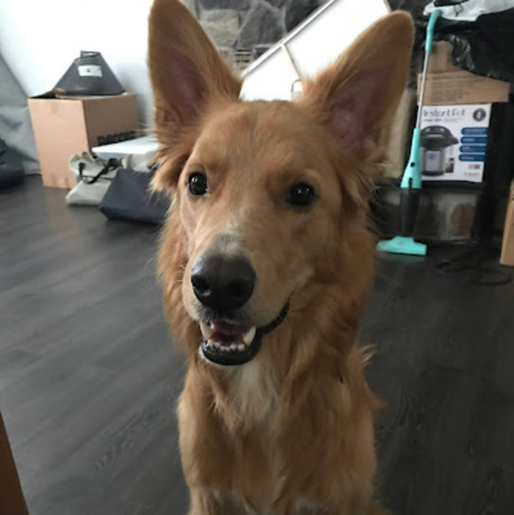 Profile Picture of Jing Phalen (@vickyhua6) on Poshmark