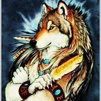 Profile Picture of Cheyenne Wolf (@cheyennewhitewolf) on Pinterest