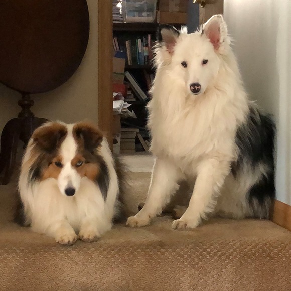 Profile Picture of Nancy Bearor (@nbearor1) on Poshmark