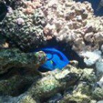 Profile Picture of Bobbie-Jo Hess (@beejes01) on Instagram