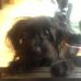 Profile Picture of Huck Kim (@huck.kim.5) on Facebook