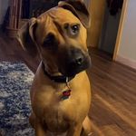 Profile Picture of Dawn Rossi (@dawn_rossi_) on Instagram