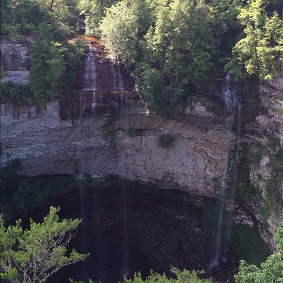 Profile Picture of Claire Malmquist (@mmc2016) on Poshmark