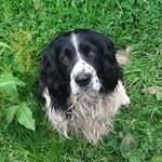 Profile Picture of Roy Sexton (@roy.sexton27) on Instagram