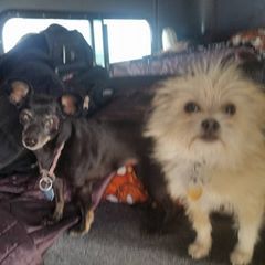 Profile Picture of Steven Redmond (@stevenredmond5) on Tiktok