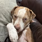 Profile Picture of Thomas Rockey (@Thomas-Rockey) on Facebook