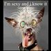 Profile Picture of Cindi Winn (@cindi.winn.31) on Facebook
