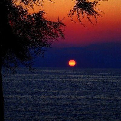 Profile Picture of Joseph Britto (@joseph48209320) on Twitter