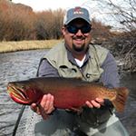 Profile Picture of Kyle Wiseman (@txwiseman) on Instagram