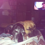 Profile Picture of Lisa McNutt (@lisamcnutt9733) on Youtube