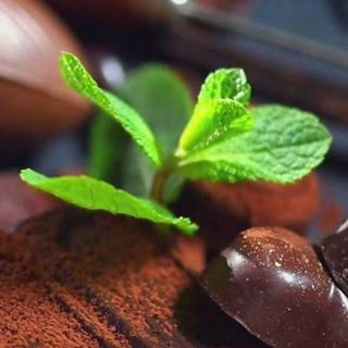 Profile Picture of Joseph Klos (@joseph.klos.1) on Facebook