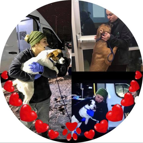 Teresa Avanzato - Poshmark Profile Picture of Teresa Avanzato (@tavanzato8) on Poshmark