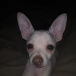 Profile Picture of Arthur J Conroy (@joes.fabricationshop) on Facebook