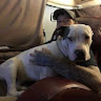Profile Picture of Darrell Yates (@darrell-yates-11) on Quora
